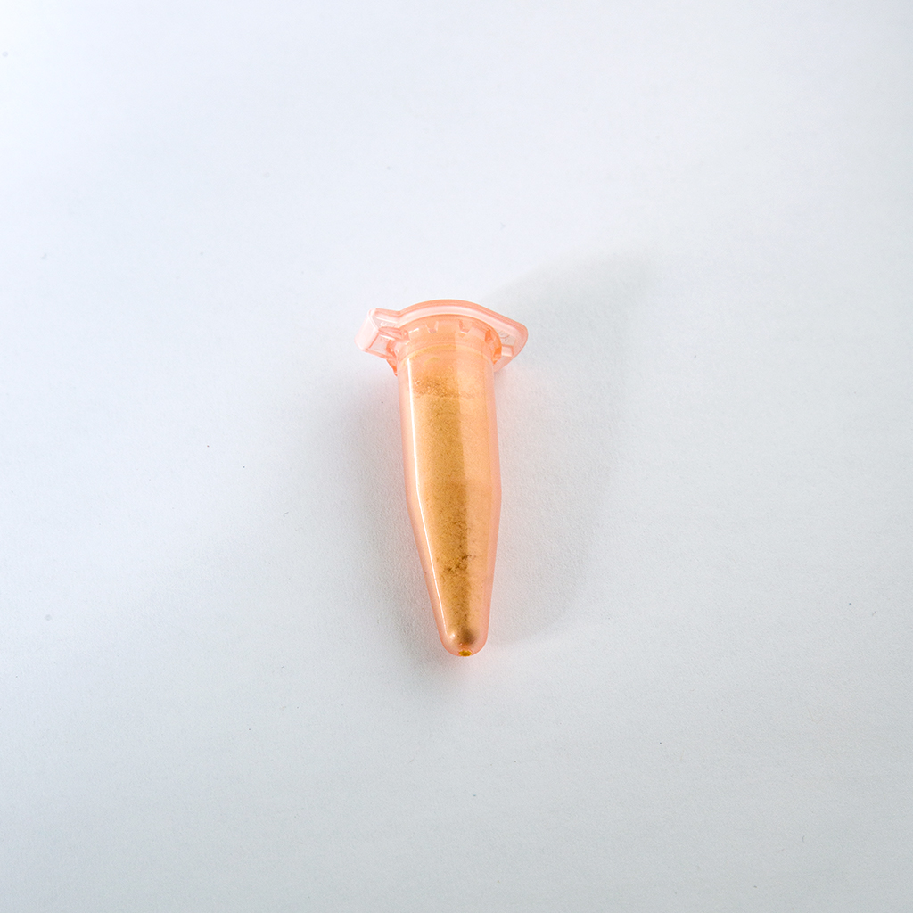 Sceletium tortuosum powder extract – XK5